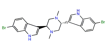 Dragmacidon B